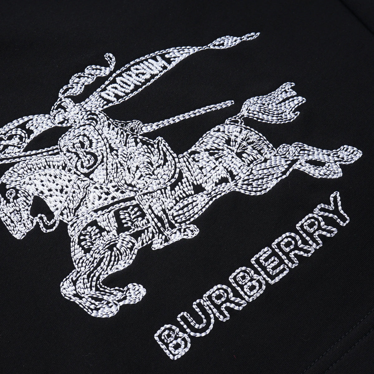 BUR Printed Logo Shorts - BUR0048 image 8
