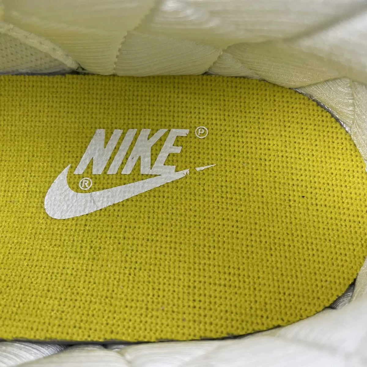 Dunk Low Retro "Sail/University Gold-Fir" Shoes Sneakers - nk0005383 image 8
